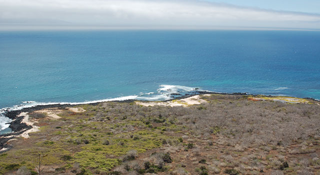 Ballena Bay