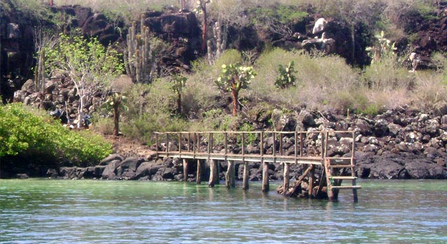 Playa de Los Perros