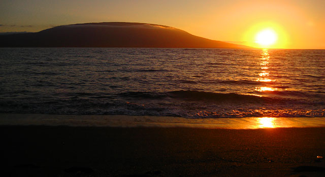 Playa Tortuga Negra