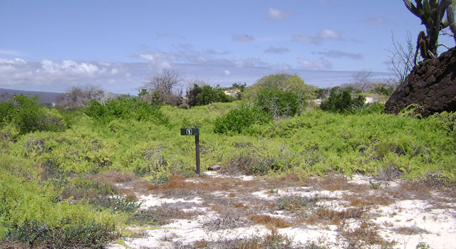 Puerto Grande