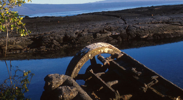 Punta Espinoza